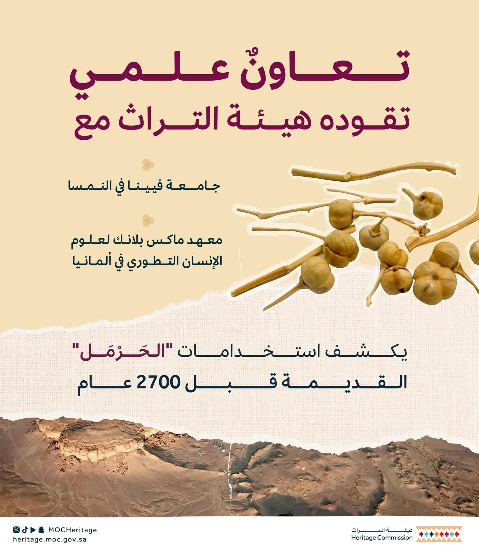 هيئة التراث تكشف عن أقدم استخدام لـ 'الحَرْمَل' قبل 2700 عام