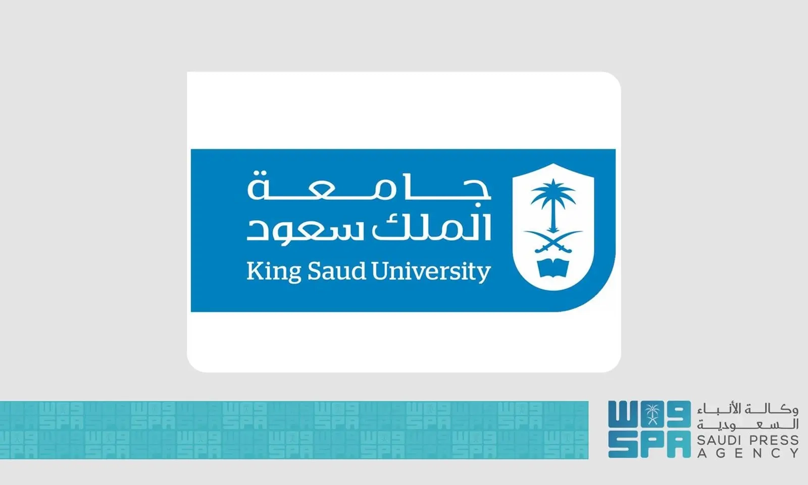 مؤتمر 'مفترق الطرق' يناقش تمكين الخريجين من اتخاذ قرارات مهنية مبنية على معرفة دقيقة