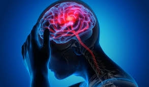 الخضراوات الورقية والتوت يساعدان على حماية الدماغ