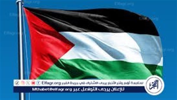 أستاذة علوم سياسية: العرب باتوا أكثر وعيًا ولن يقبلوا تسويات شكلية للقضية الفلسطينية