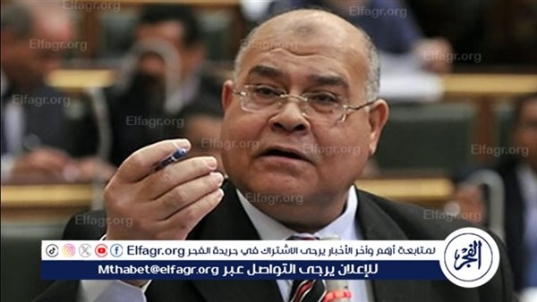 رئيس حزب الجيل: مصر هي الرقم الصعب في معادلة فلسطين والشرق الأوسط
