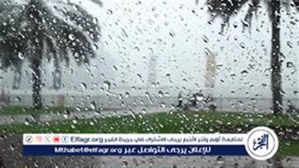 الأرصاد تُحذر من موجة عدم استقرار في الأحوال الجوية بهذا التوقيت (فيديو)