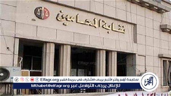 "وصلت لـ5 آلاف".. وكيل المحامين يكشف تفاصيل الوقفة الاحتجاجية اعتراضًا على فرض رسوم مميكنة