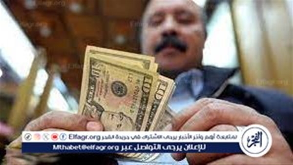 خبيرة: احتياطي النقد الأجنبي يسجل رقمًا قياسيًا.. وتحويلات المصريين بالخارج تزداد