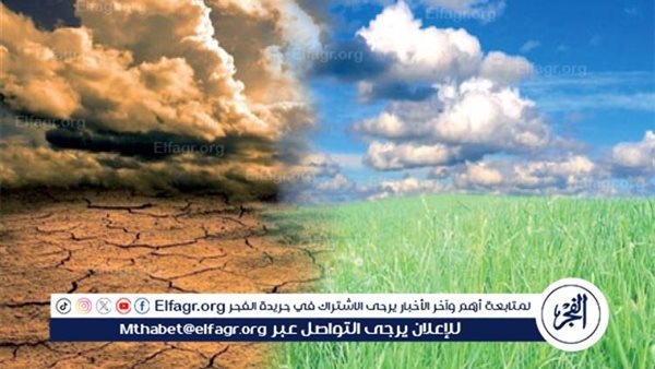 باولينو نيتو: مصر والبرازيل شريكان في مواجهة التغير المناخي