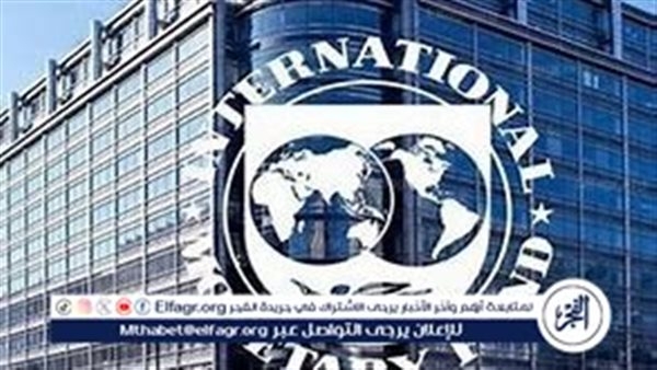 خبير يوضح سبب وصول بعثة من صندوق النقد الدولي لمصر (فيديو)