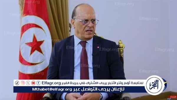 السفير التونسي بالقاهرة: الخطة المصرية أصبحت عربية وإسلامية وتمنع تهجير الفلسطينيين (فيديو)