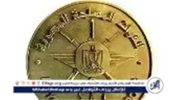 سقوط طائرة تدريب أثناء تنفيذ إحدى الأنشطة التدريبية واستشهاد طاقهما