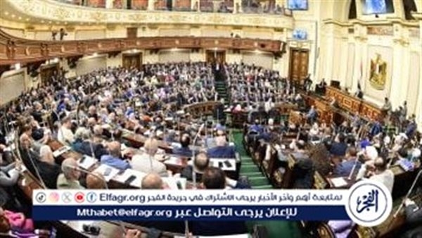 نائب: قانون العمل الجديد بمثابة نقلة نوعية في علاقات العمل