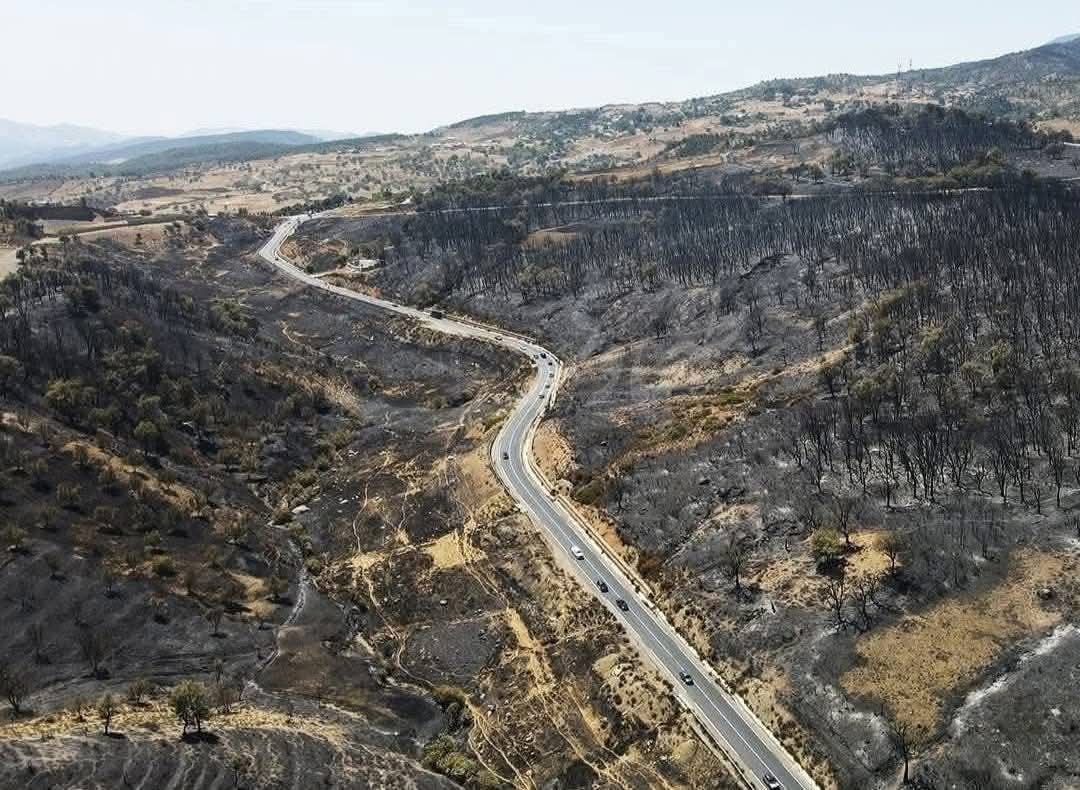 ✅ الرماد يطوق الطرق الجبلية بشفشاون والسلطات تحذر من حرائق غابوية جديدة بشمال المغرب