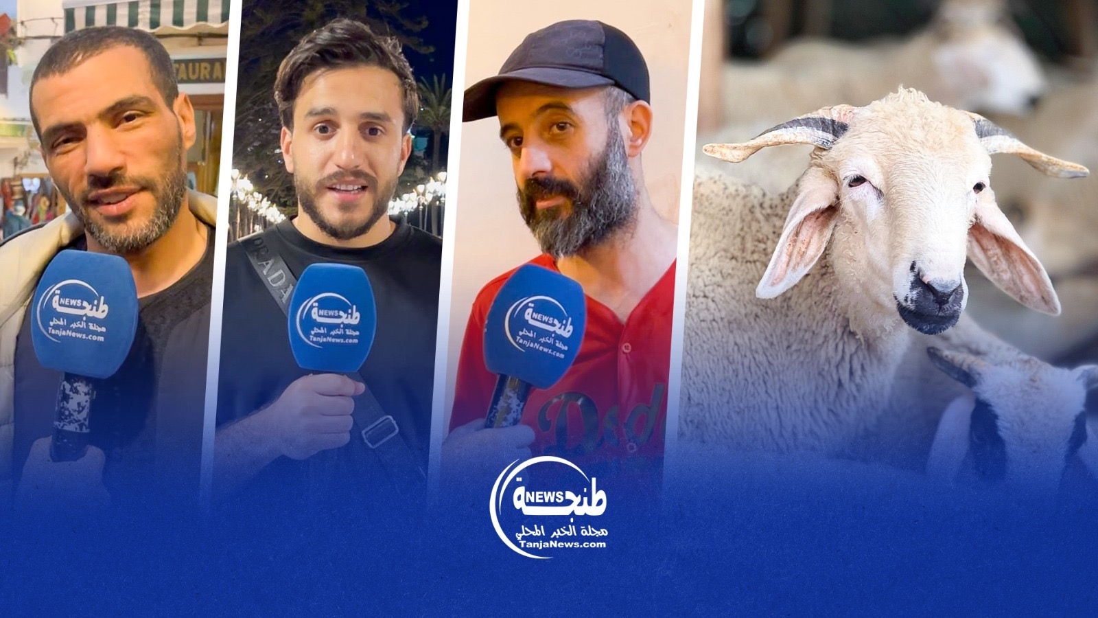قبل يومين من العيد.. ماذا يقول الشارع الطنجاوي عن إلغاء ذبح الأضحية؟