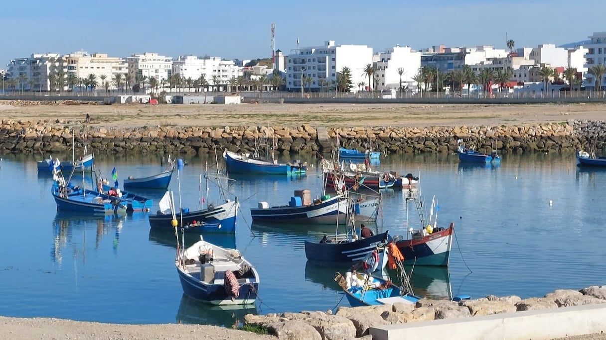 ميناء أصيلة يسجل تراجعاً في مفرغات الصيد الساحلي والتقليدي خلال النصف الأول من 2025