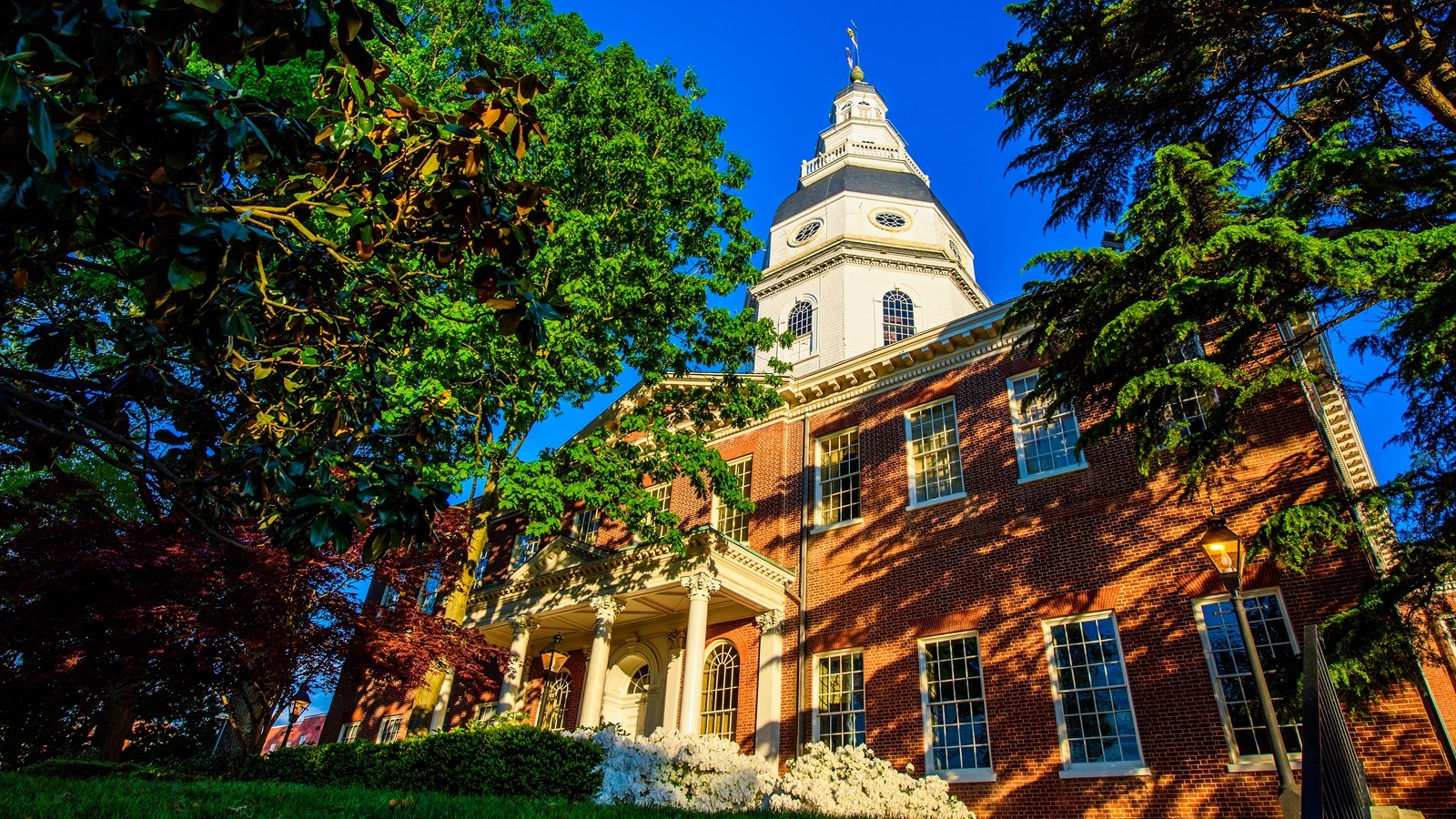 Technical.ly expands to cover all of Maryland's innovation economy
