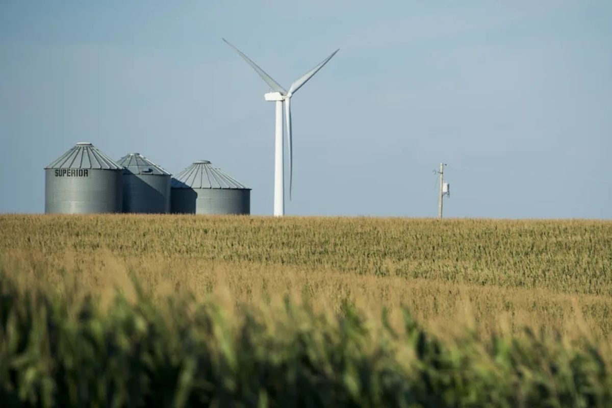 How wind and solar power helps keep America's farms alive