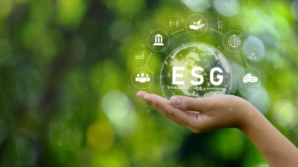How student-run ESG funds teach sustainable investing