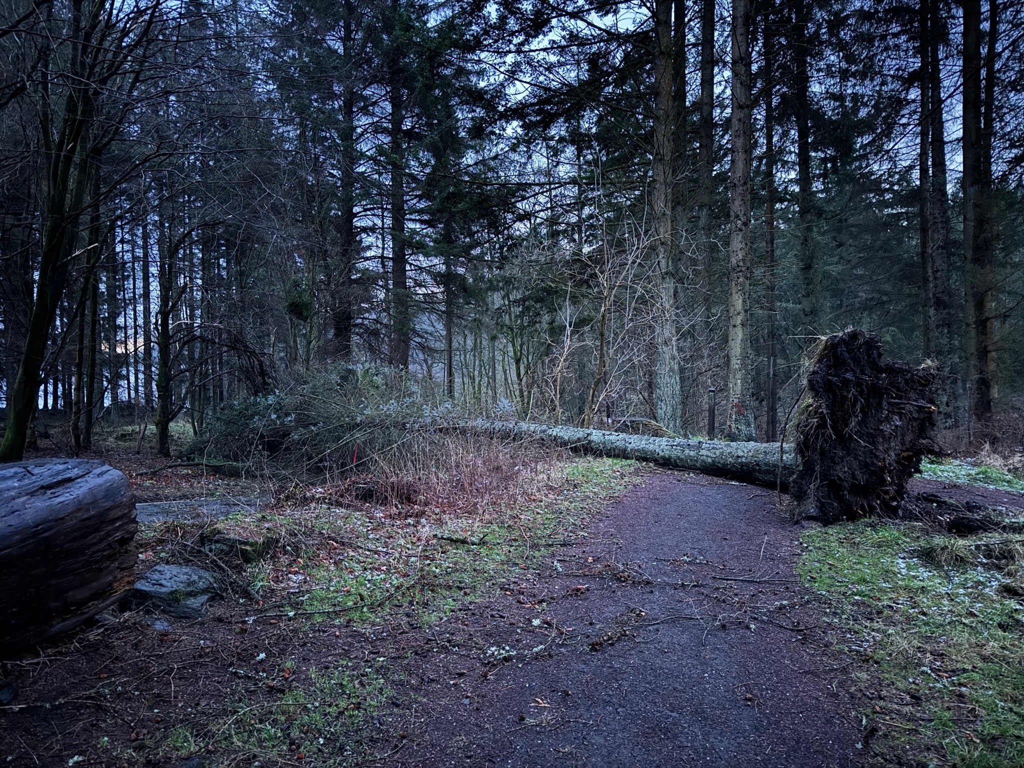 Beecraigs storm clear-up unlikely to be completed by the start of the summer holidays