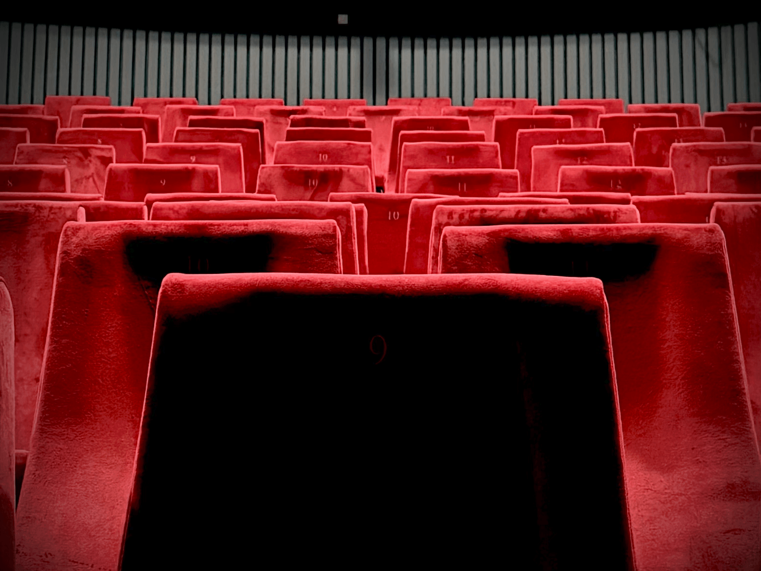 Filmhouse returns