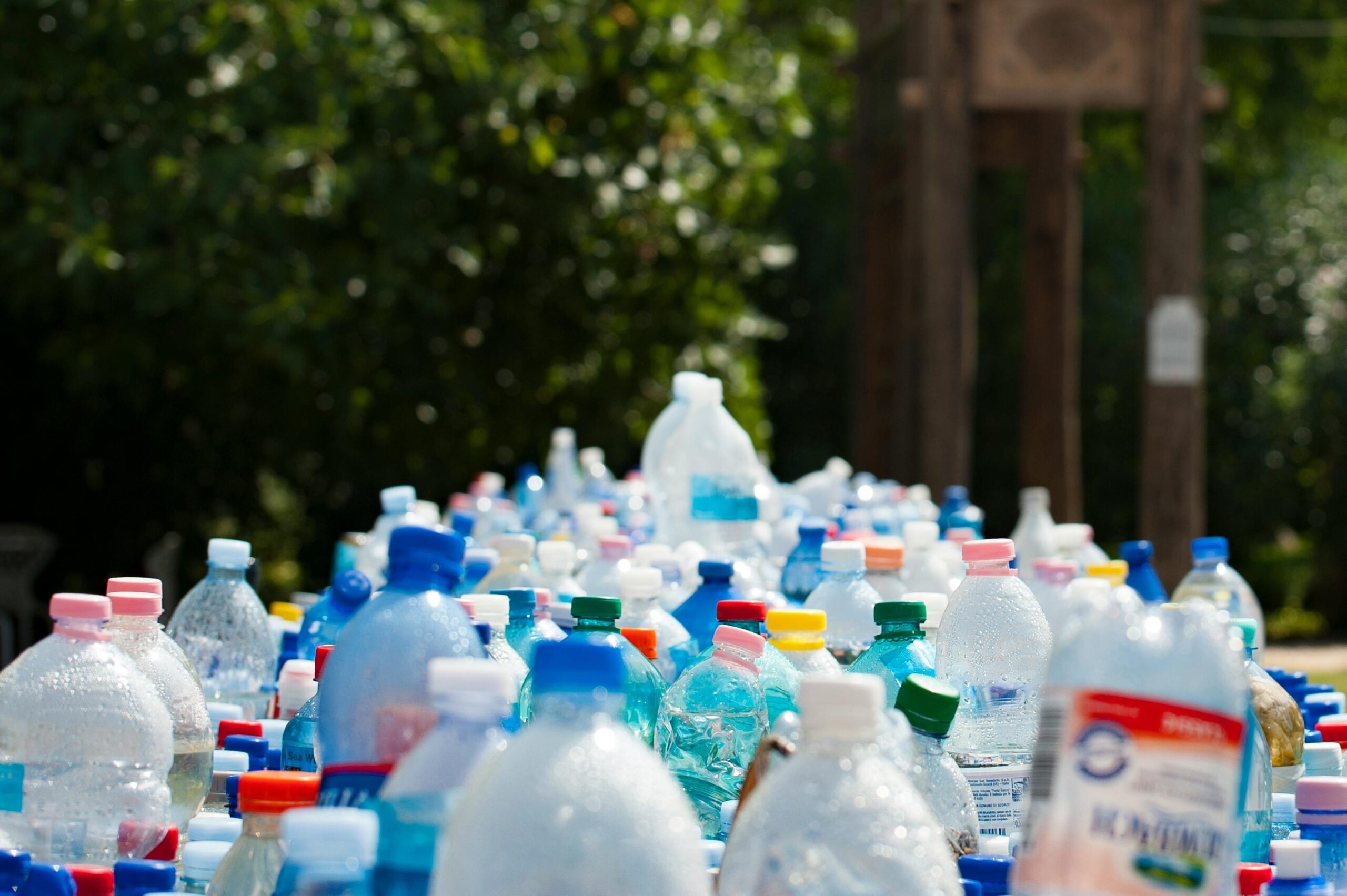 Sustainable Waste Solutions for Edinburgh's Growing Business Scene