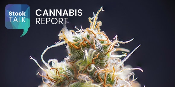 Cannabis Report: All killer, no filler