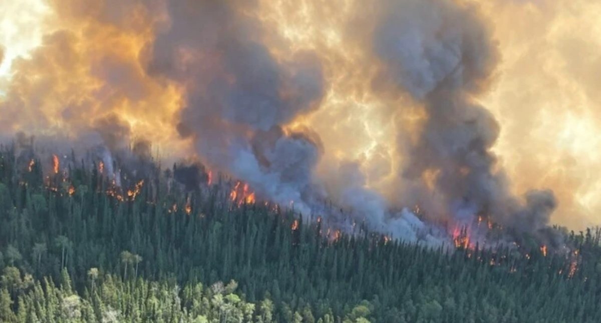 Cenovus pulls out staff over risk of Alberta wildfires