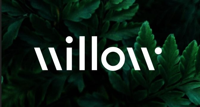 Willow Biosciences reports Q1 2025 earnings on the eve of its major reorganization
