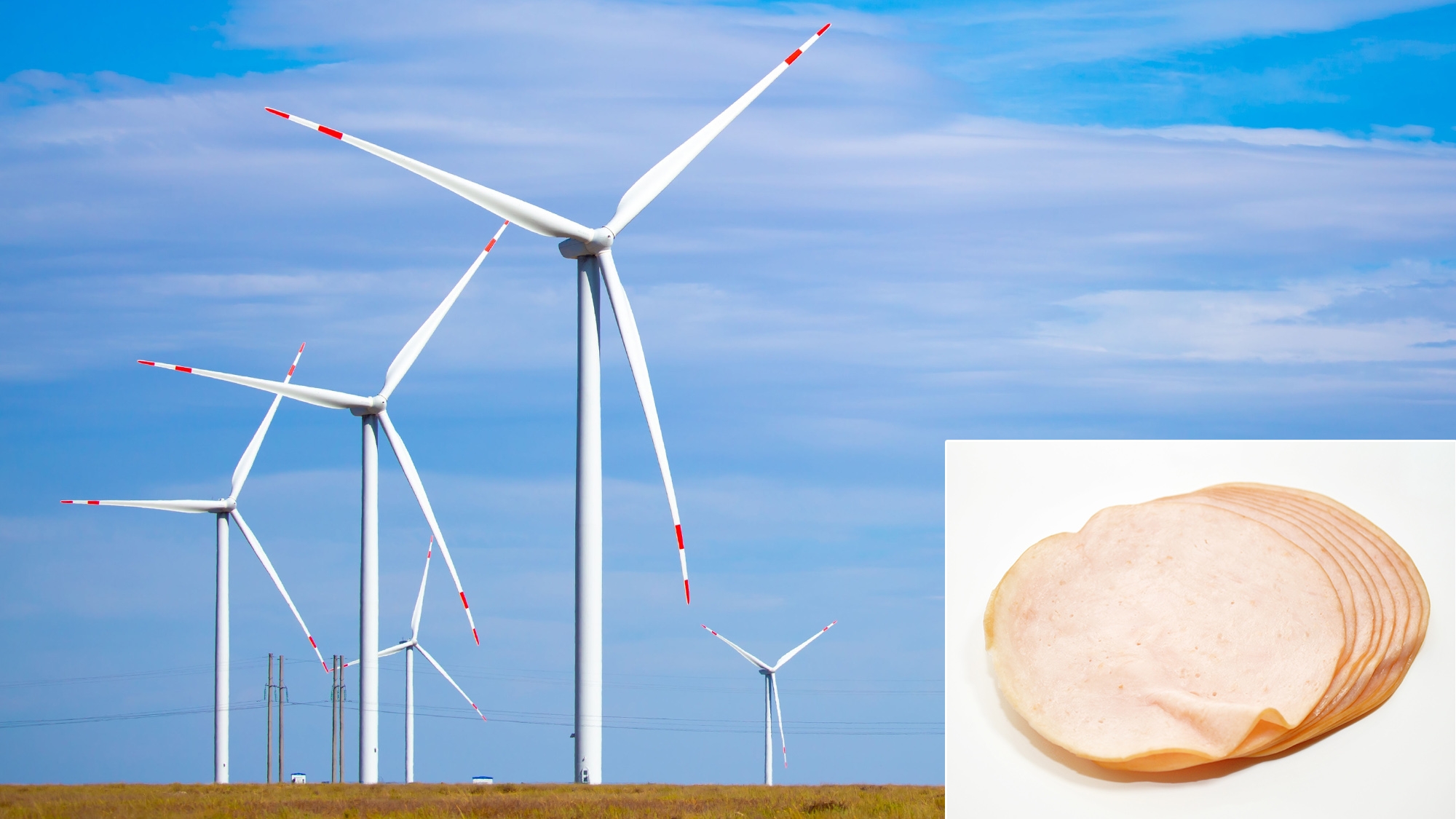 Poll Finds Majority Of Americans Would Support Wind Turbines If They Sliced Deli Meat As Well