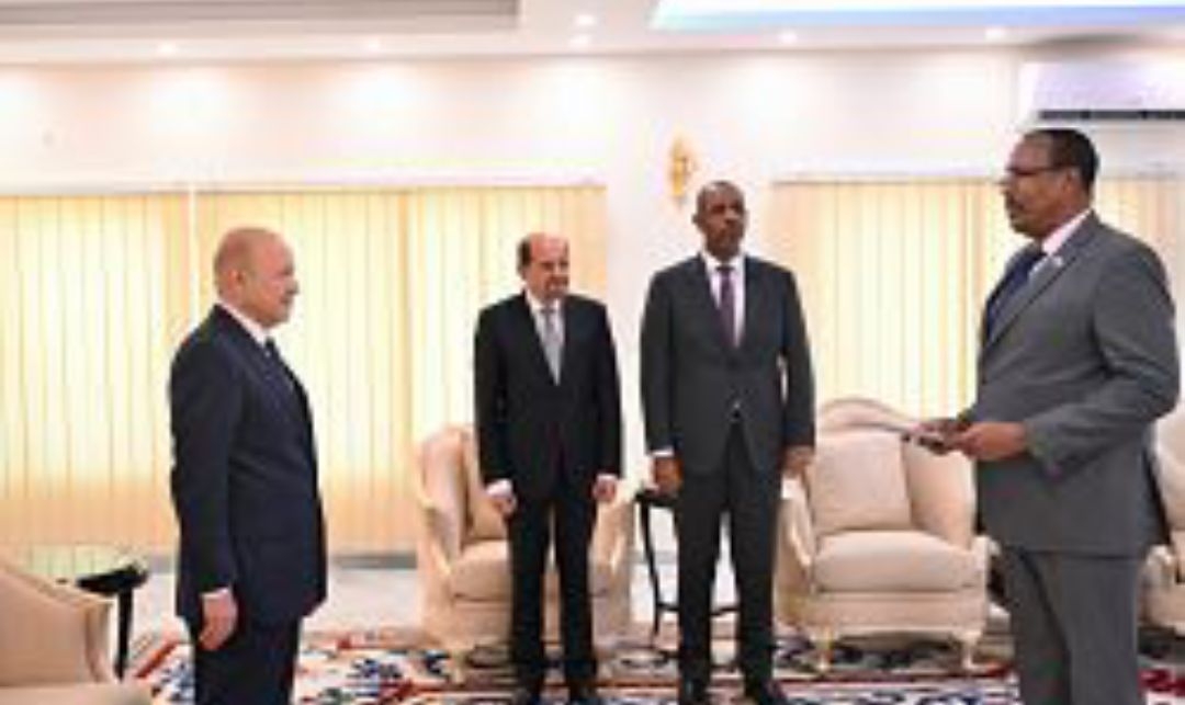 العليمي يشدد على أهمية التنسيق الأمني بين اليمن والصومال لمكافحة التنظيمات الإرهابية