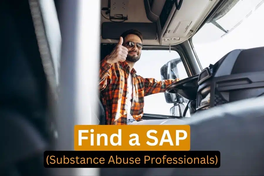 What is the DOT SAP Program?
