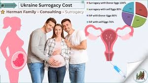 Ukrainian Egg Donors: A Comprehensive Guide