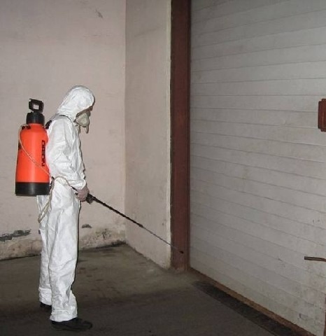 How to Prevent Moths from Damaging Clothes & Carpets in Harrogate