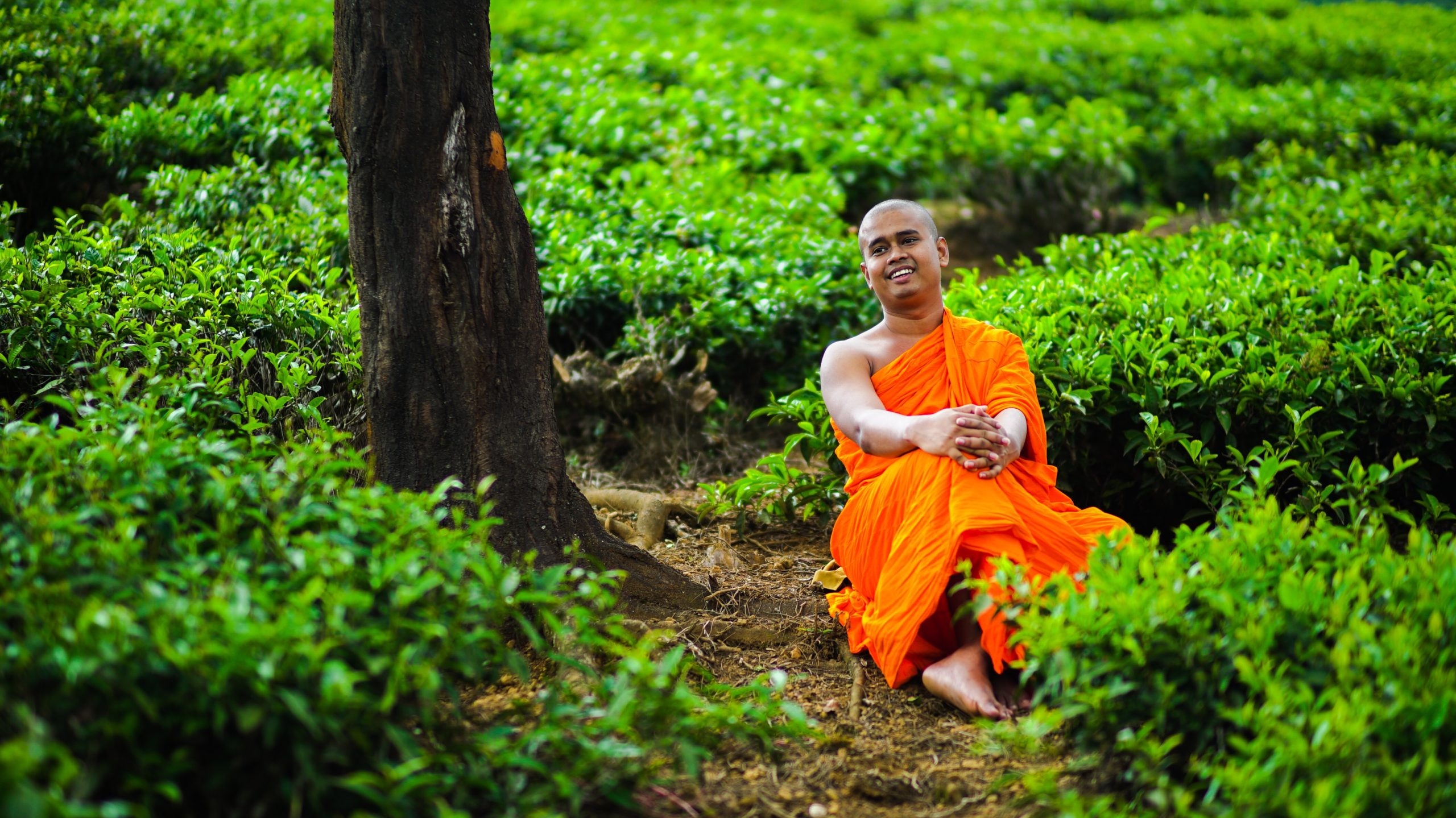Venerable Bibiladeniye Mahanama Thero Breaks New Ground in Music, Cinema, and Spiritual Innovation