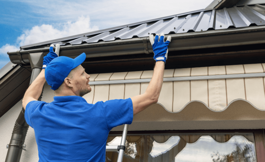 Best Gutter Cleaning Service in Auckland: 7-Step Guide to Hire Experts