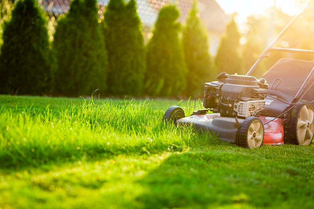 Ultimate Guide to Inexpensive Landscaping Solutions