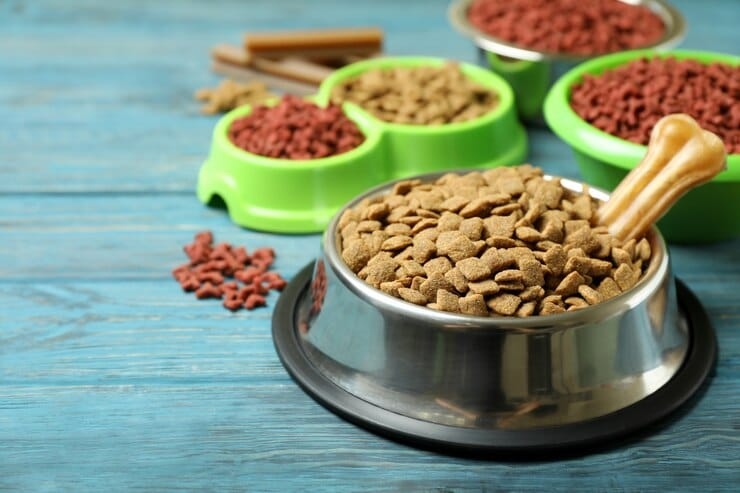 Brit Cat Food and Royal Canin Dog Food: Premium Nutrition for Pet Health