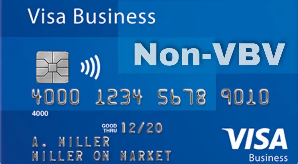 What Are Non VBV Bins? Complete Guide for Forum Users (2025)