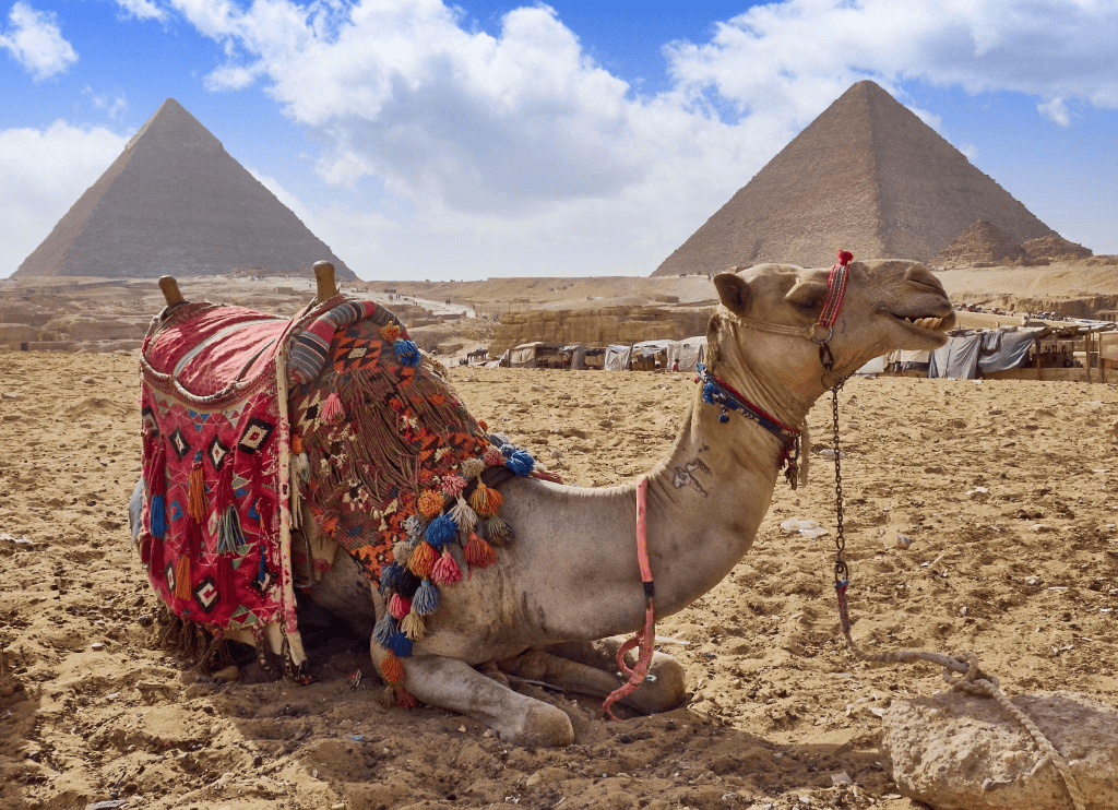 Exploring Cairo with Divago Egypt Tours: Where Ancient Meets Modern