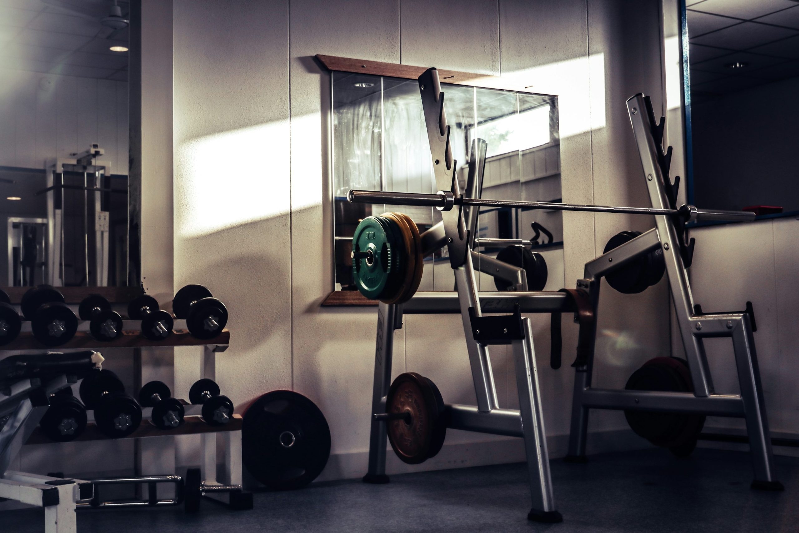 Profitable Gym Franchise Models in 2025