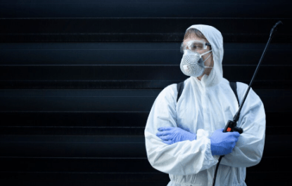 Why You Should Consider Professionals for Pest Control?