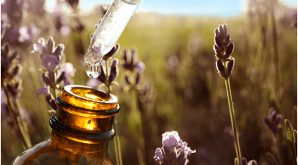 Perfume Bottles: From Vintage Designs to Modern Luxury