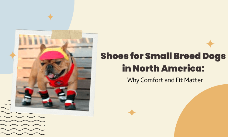 Shoes for Small Breed Dogs: Comfort & Protection for Paws