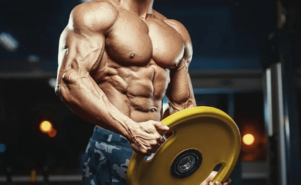 From Testosterone to Trenbolone: A Deep Dive into Steroid Use and Safety