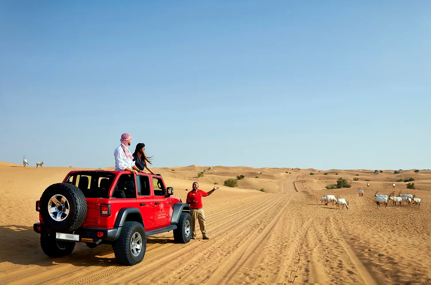 Desert Safari Dubai offers thrilling Arabian adventures