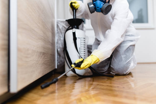 Ultimate Guide to Pest Control in Utah: Why Synergy Pest Control Is the #1 Choice