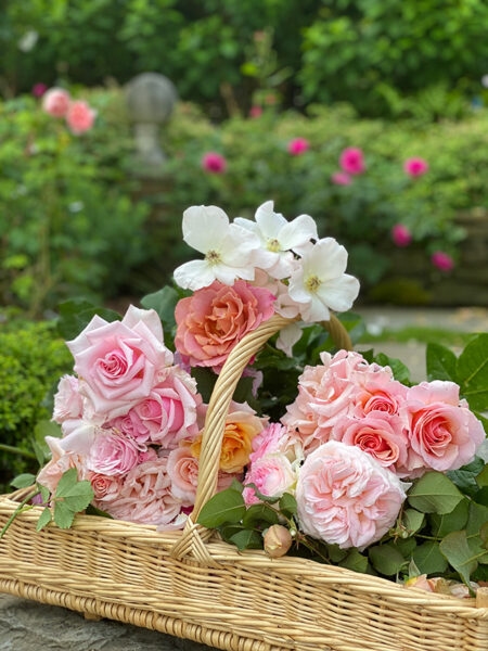 How to Frame Flowers: A Beautiful Way to Preserve Nature's