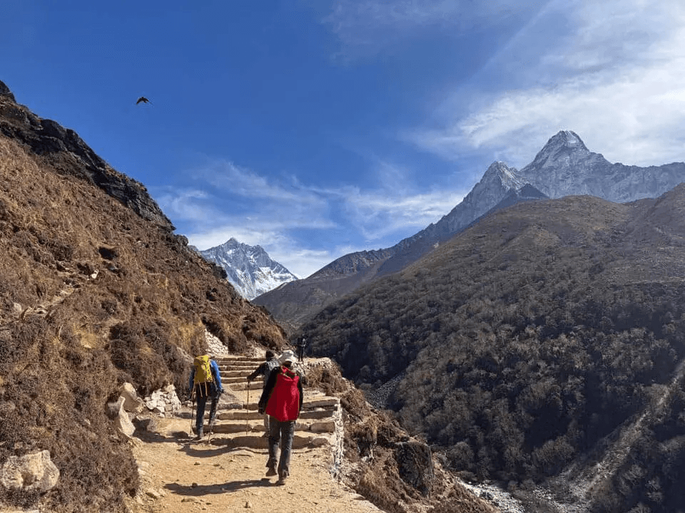 Nepal's Best Trekking Routes in One: EBC, Passes & Nar Phu