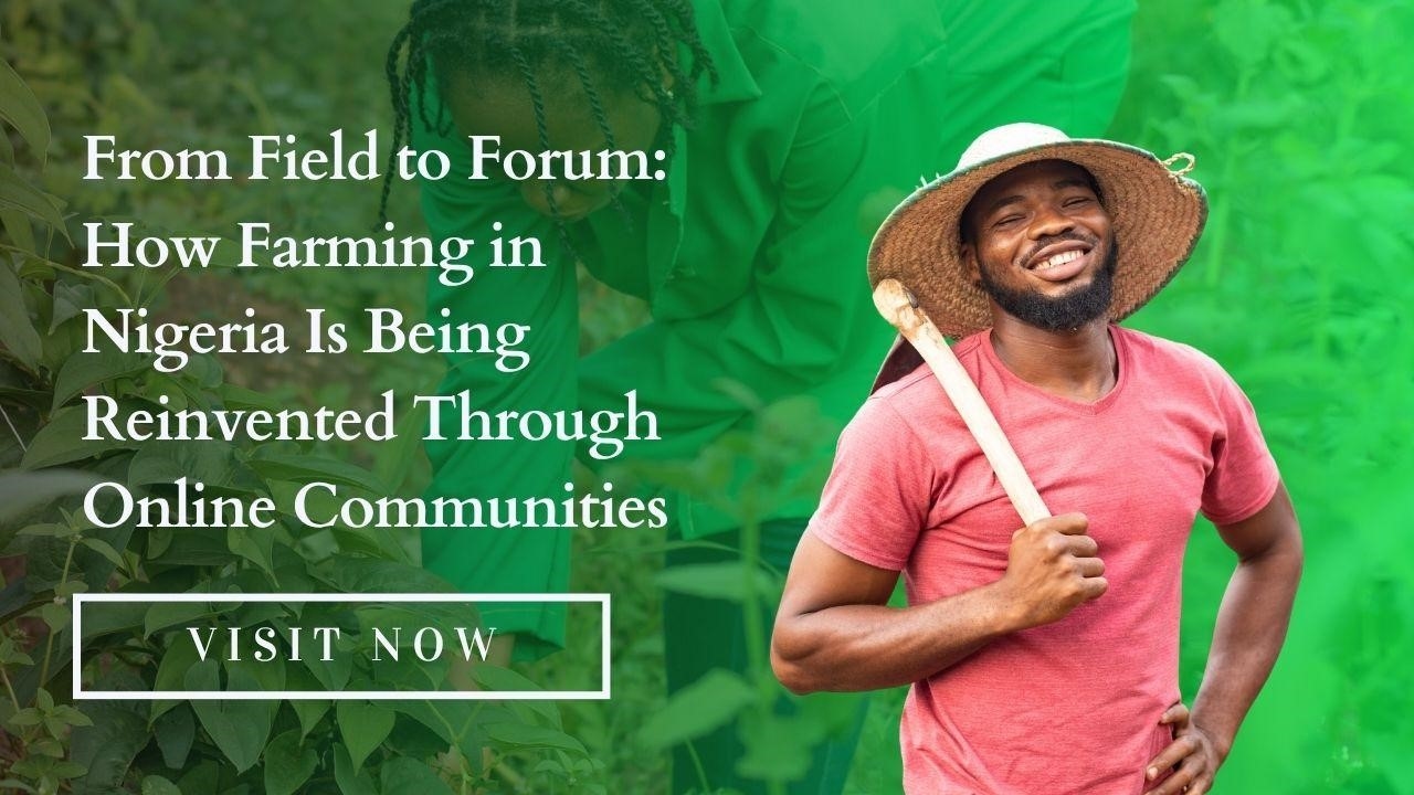 From Field to Forum: How Farming in Nigeria Is Being Reinvented Through Online Communities
