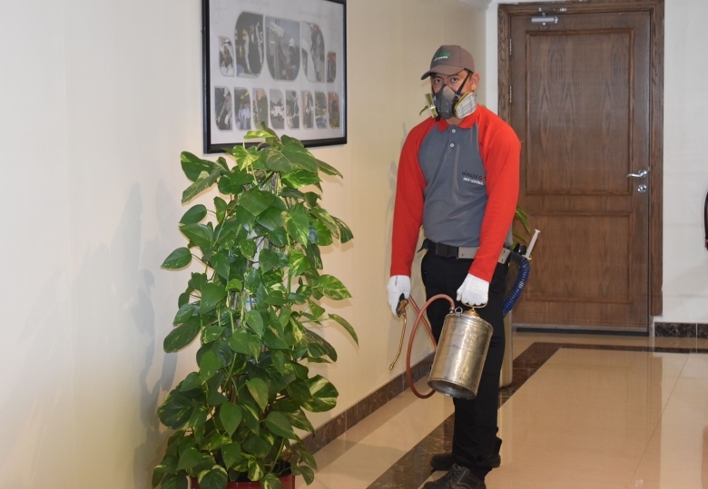 Expert Pest Control in Palestine for a Safer Home