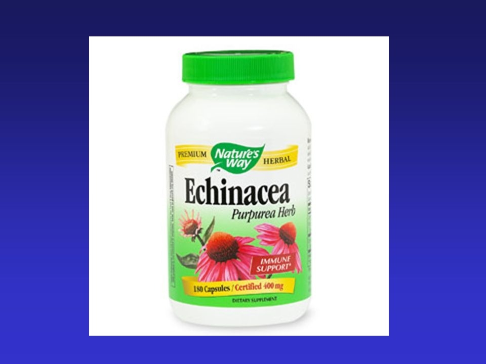 Explore Now for the Best Echinacea Supplements in the UK