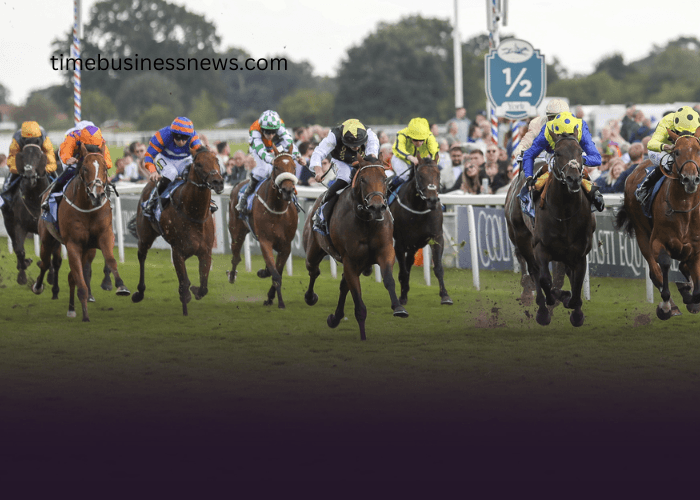 The History and Evolution of Turf Horse Racing
