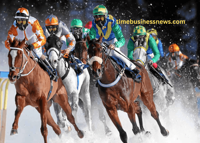 Exploring the Popularity of Turf Racing